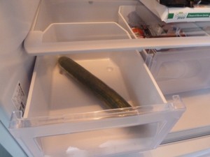FridgeH6 Hotpoint STR175WP Fridge Freezer