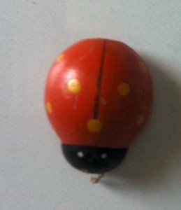 Ladybird Ladybird