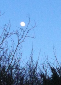 Moon
