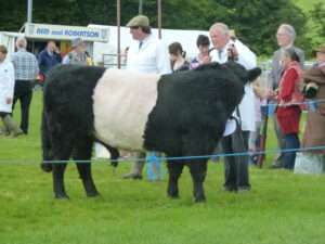Stewartry Show