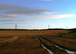 Pylons