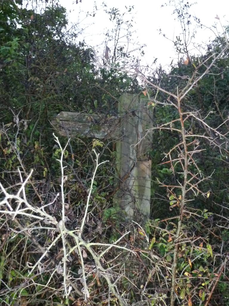 Sign