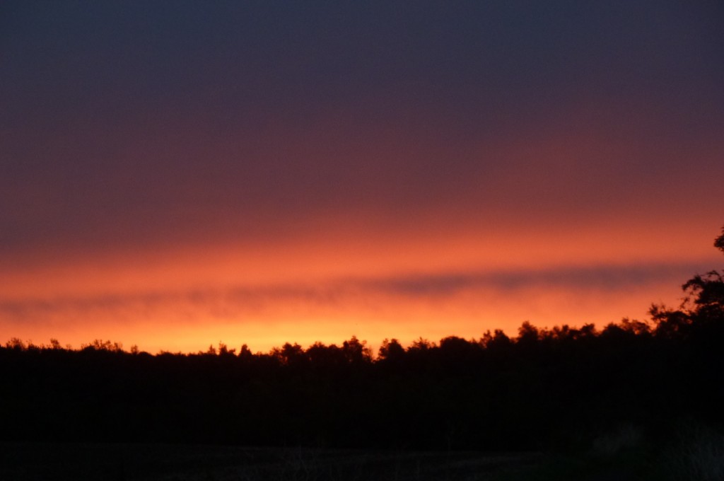 Sunrise 001 Sunrise