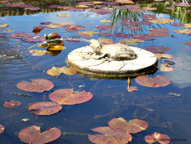 A visit to Seaton Delaval Hall - Dragons and Fairy Dust